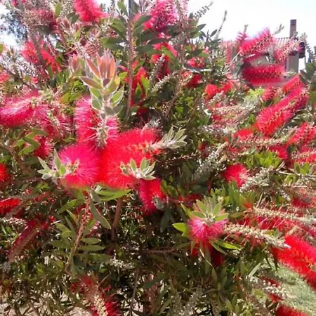 Bed & Breakfast Rudy Arenaile 3*