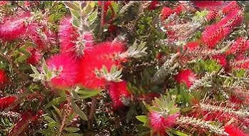 Bed & Breakfast Rudy Arenaile Arenella (Syracuse)