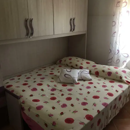 Rudy Arenaile 3* Arenella (Syracuse)